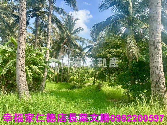 台南西港農地-6