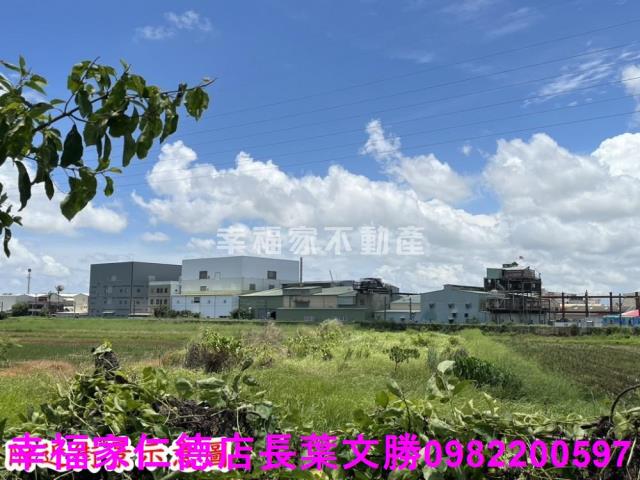 仁德農地-5
