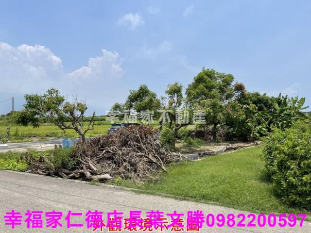 仁德農地-9