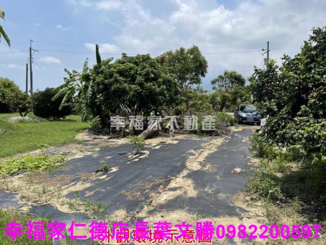 仁德農地-14
