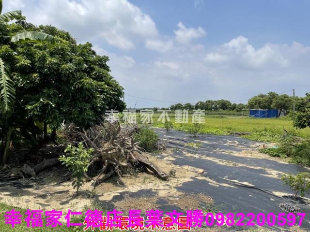 仁德農地-4