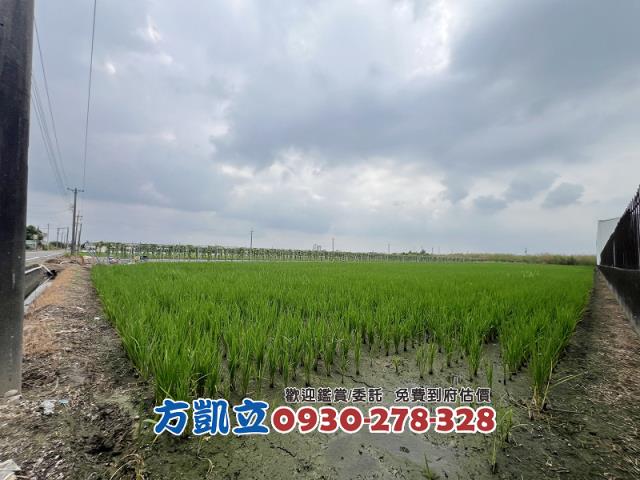 台南農地-7