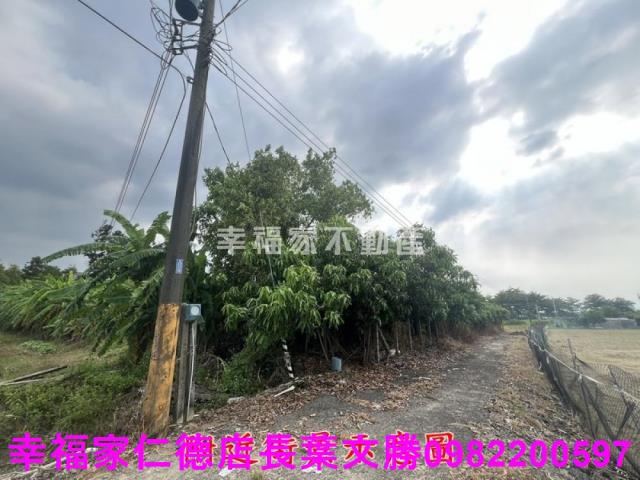 台南新化農地-11