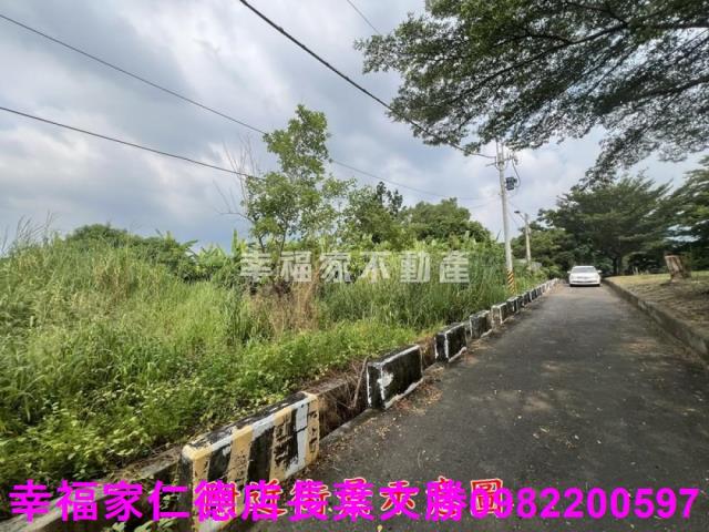 台南新化農地-14