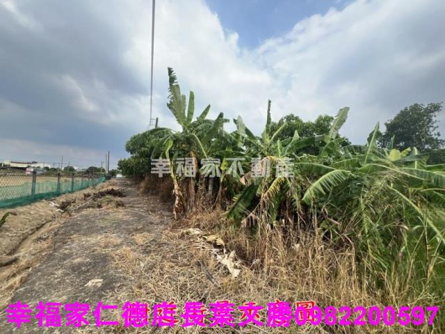 台南新化農地-2