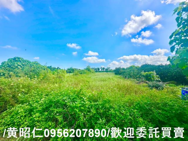 台南麻豆農地-1