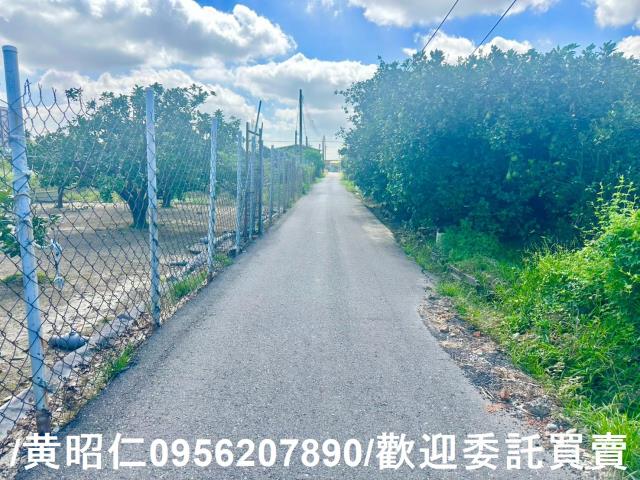 台南麻豆農地-3
