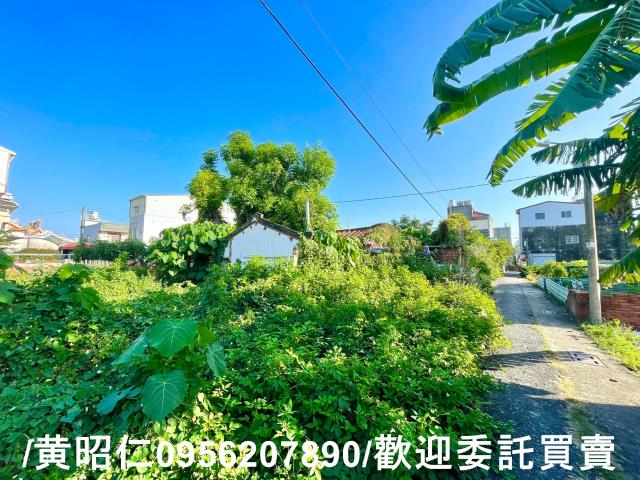 台南善化建地-5