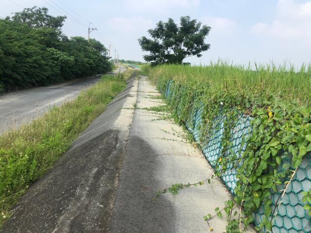 台南後壁農地-3