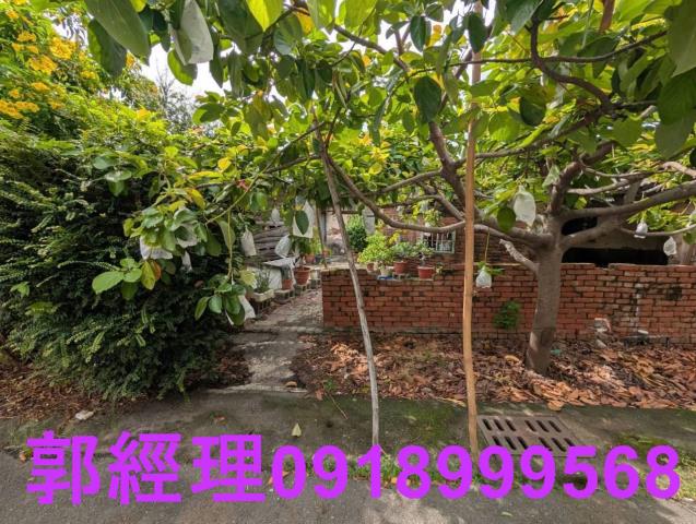 歸仁建地-6
