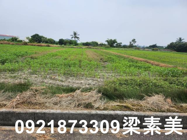 安定農地-5