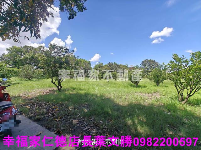 台南麻豆農地-2