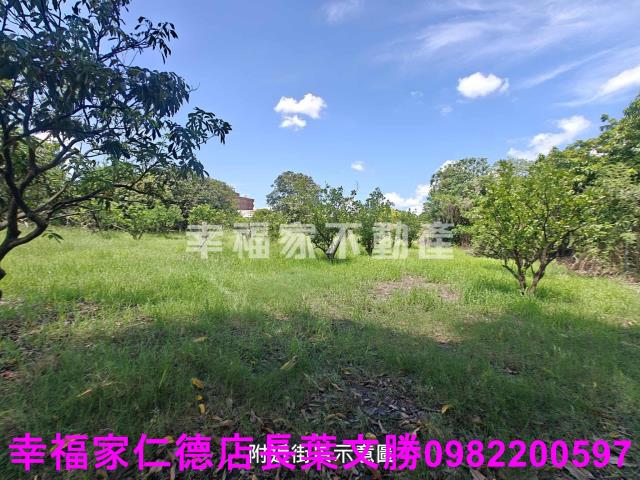 台南麻豆農地-4