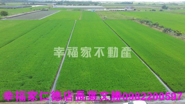 台南柳營農地-8