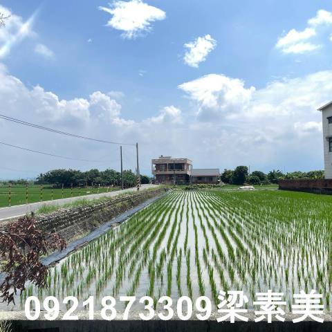 台南白河農地-11