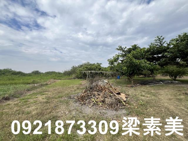 安南農地-3