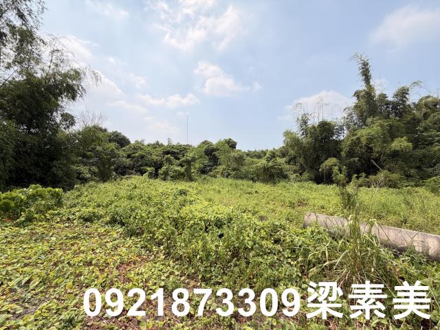 歸仁農地-1