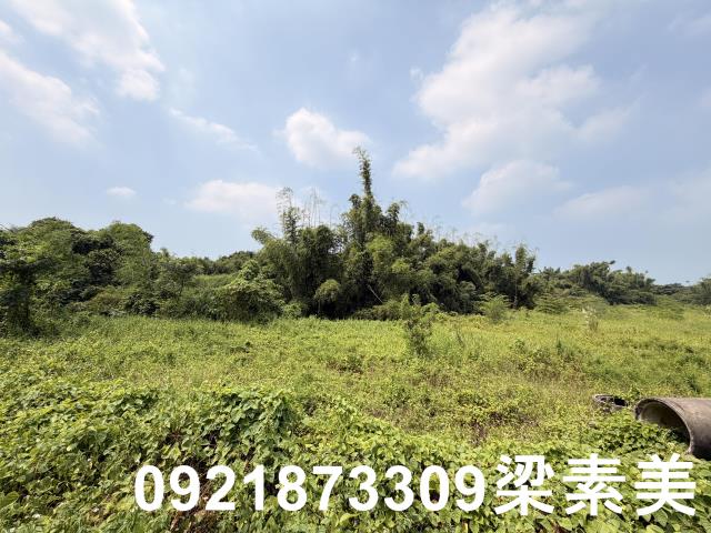 歸仁農地-5