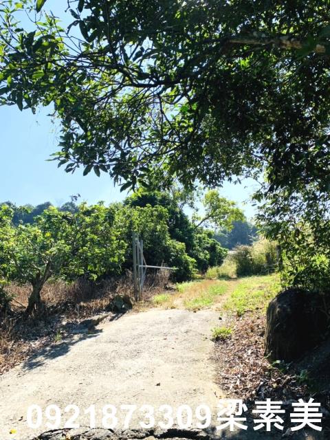 楠西農地-6