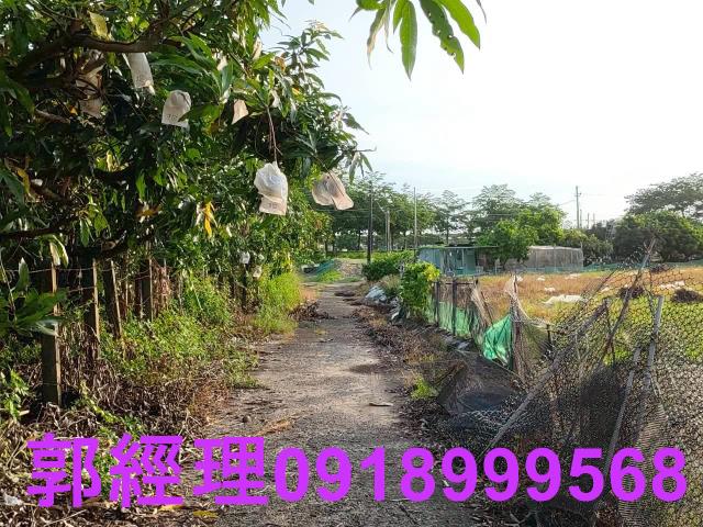 新化農地-11