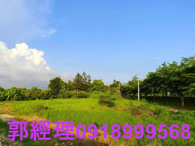 新化農地-2