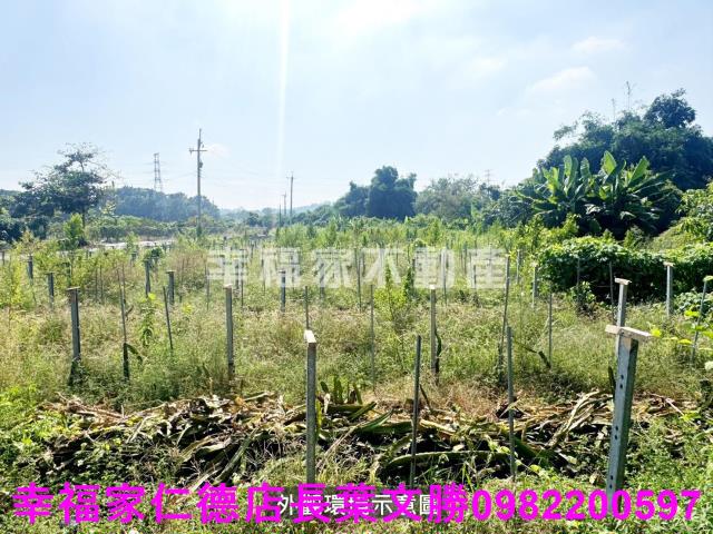 柳營農地-4