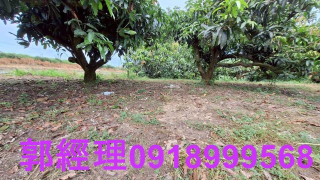 官田農地-3
