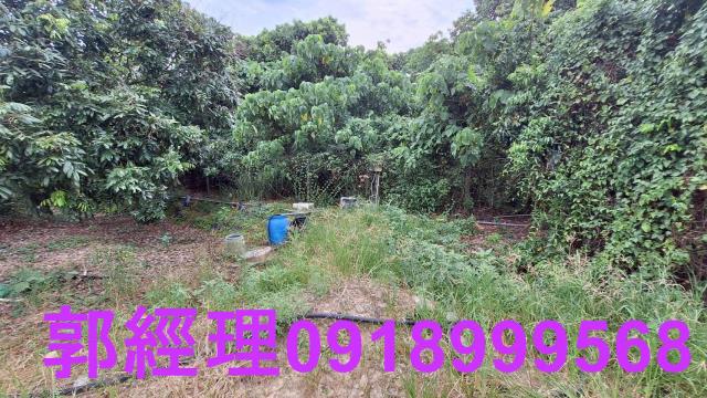 官田農地-4