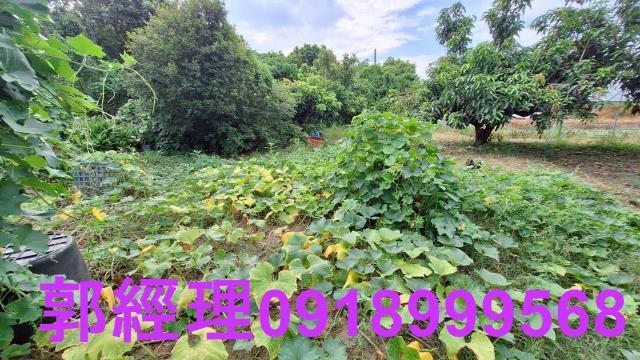 官田農地-8