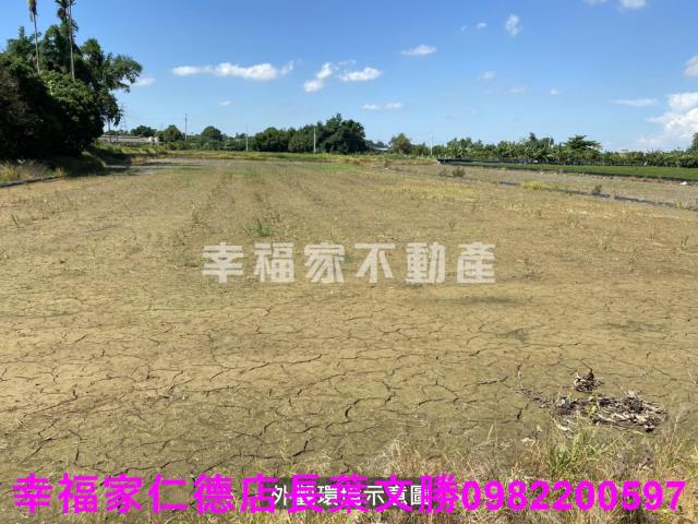 柳營農地-12