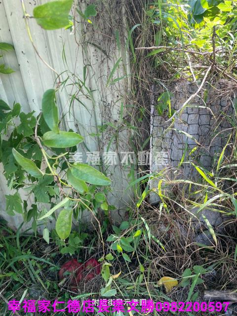 麻豆農地-13