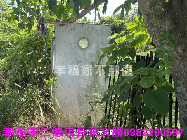 麻豆農地-9