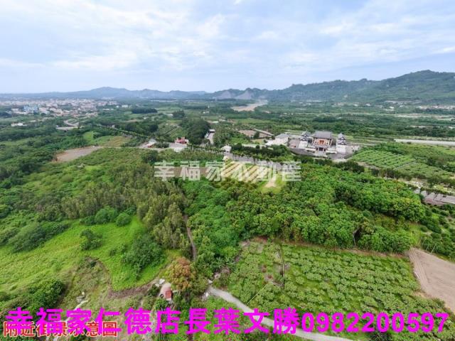 玉井農地-10