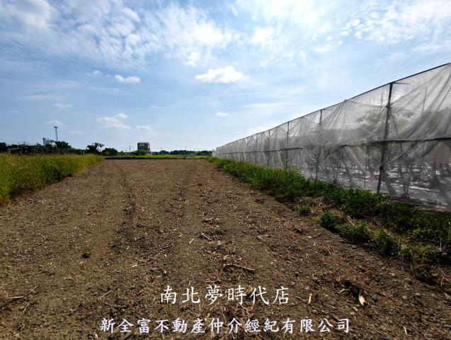 台南柳營農地-4