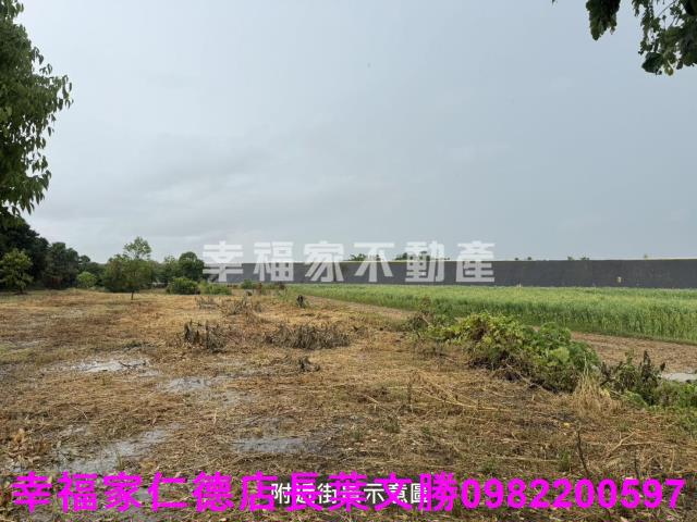 台南東山農地-8