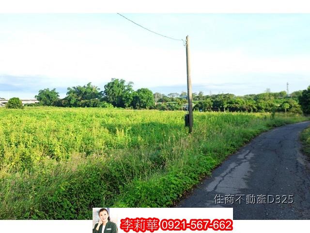 柳營農地-2