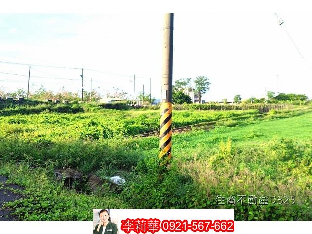 柳營農地-3