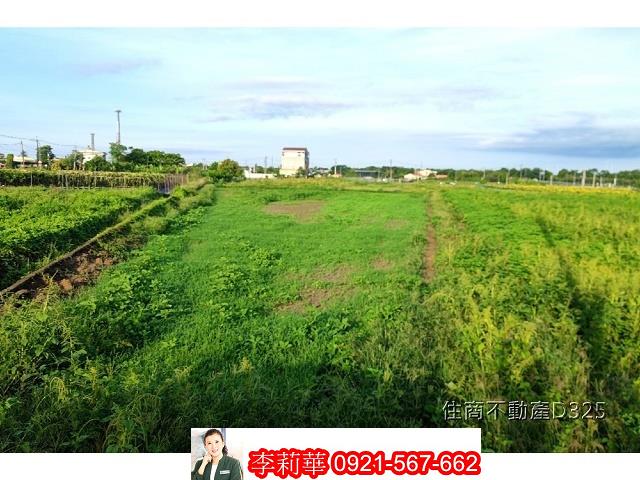 柳營農地-5