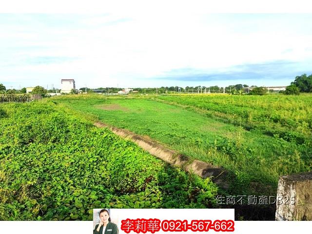 柳營農地-6