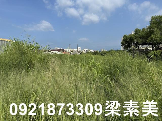 台南官田建地-0