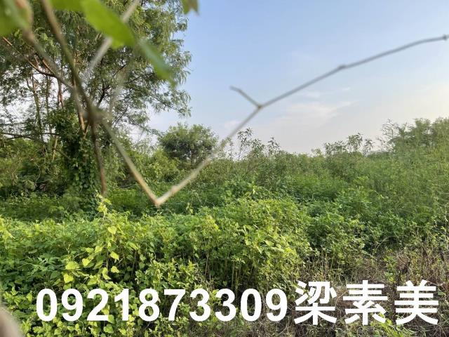 台南麻豆工業地-3