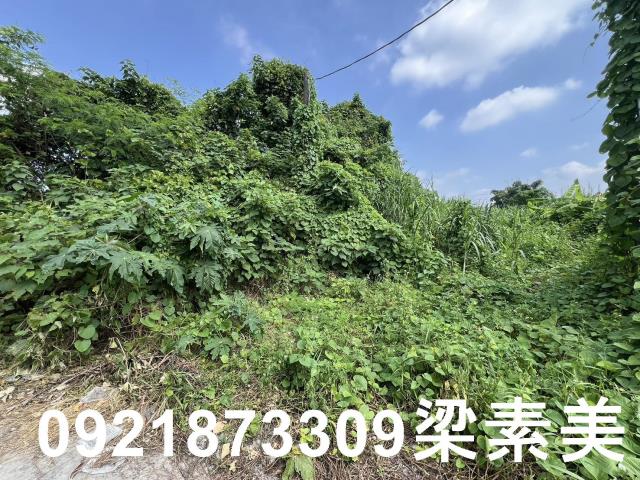 台南大內建地-6