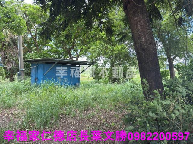 台南新市農地-9