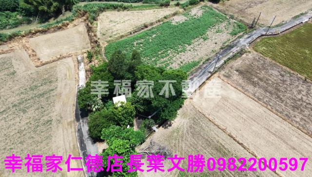 台南新市農地-11