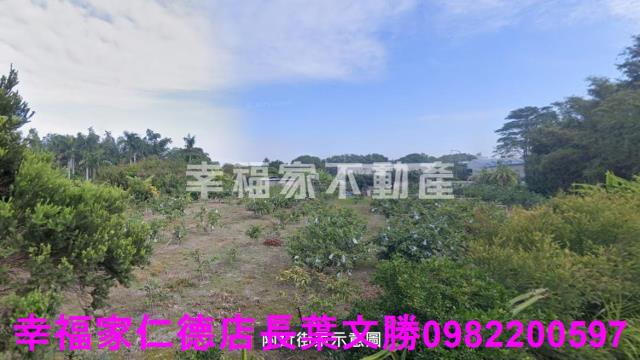 歸仁農地-11