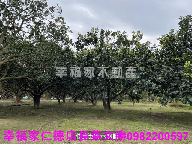 麻豆農地-13