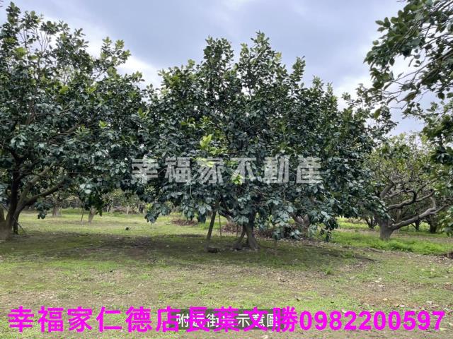 麻豆農地-1