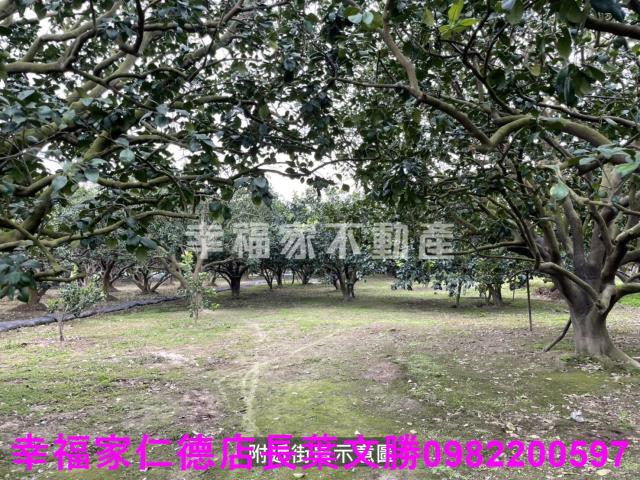 麻豆農地-7