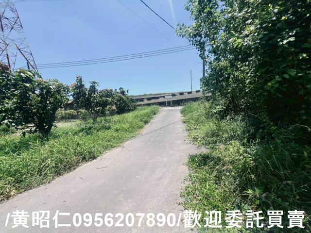 麻豆農地-0