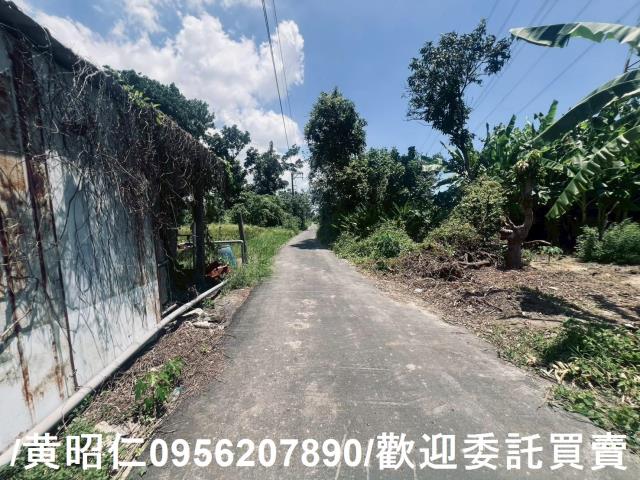 麻豆農地-2